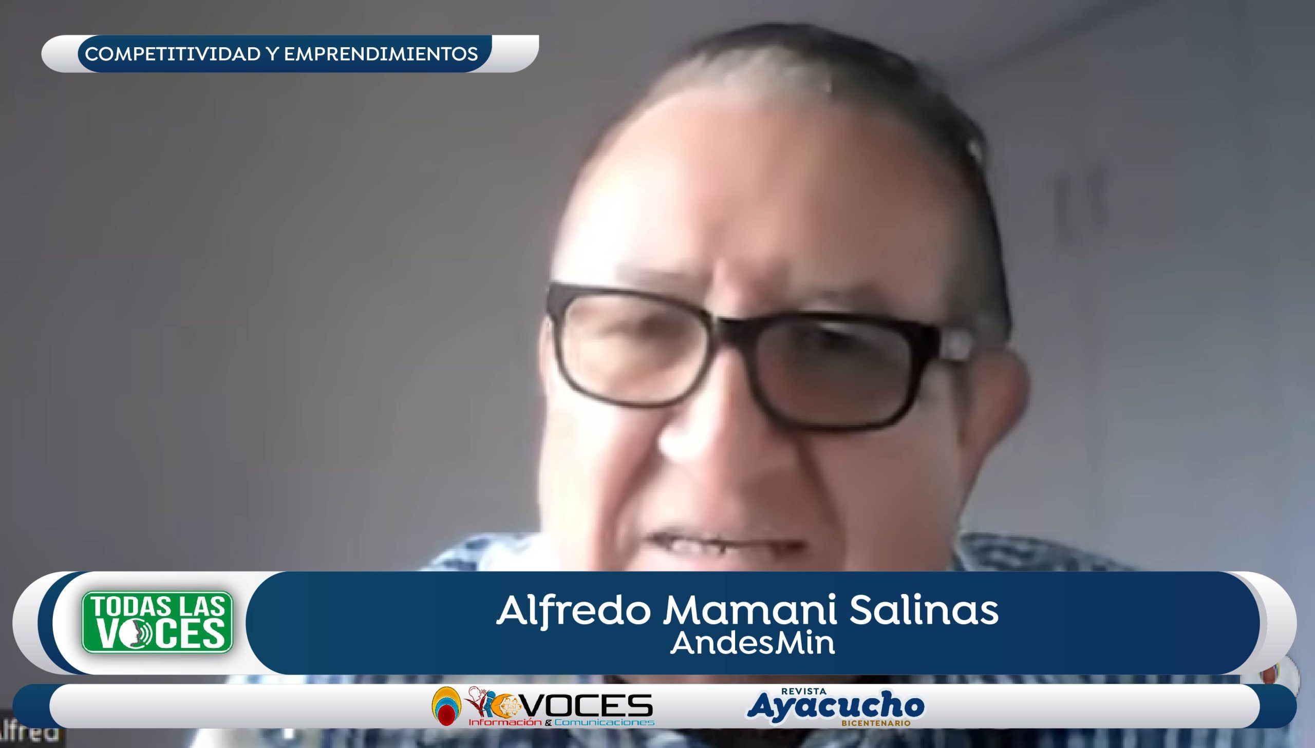 Alfredo Mamani Salinas, AndesMin